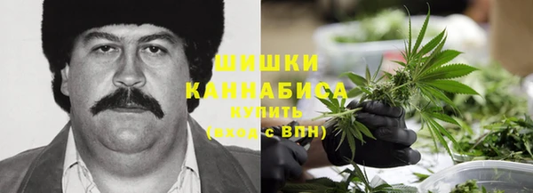 мет Арсеньев