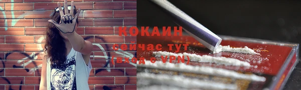 мет Арсеньев