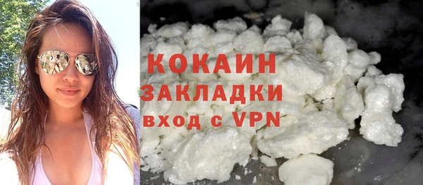 молекула духа Няндома