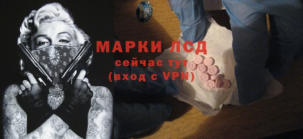 apvp Аркадак