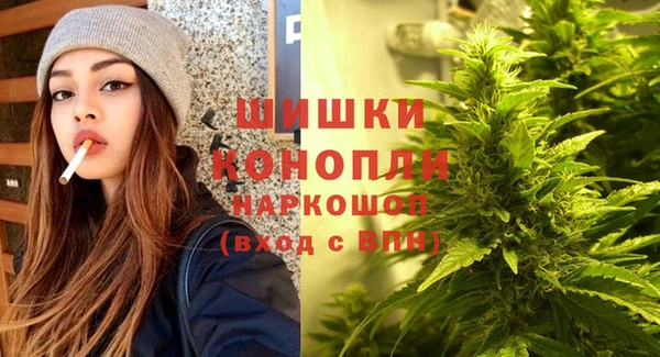 apvp Аркадак