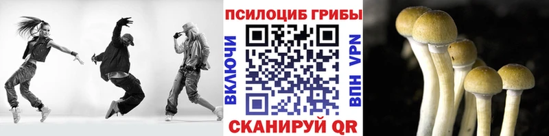 Псилоцибиновые грибы MAGIC MUSHROOMS  даркнет сайт  Артёмовск 
